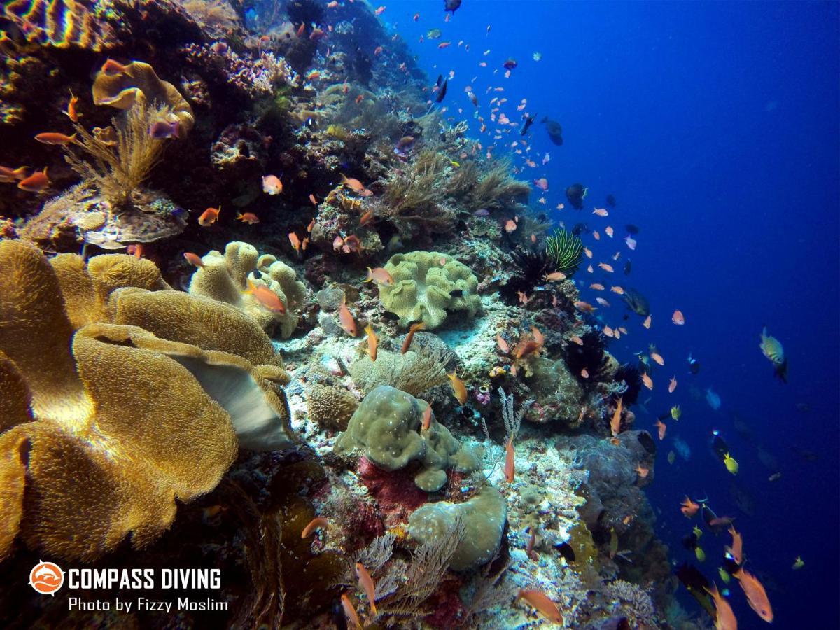 Compass Diving Resort Beloi ภายนอก รูปภาพ